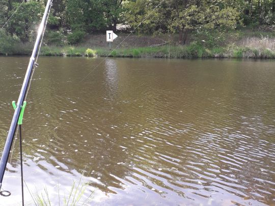 Alte Havel (Birkenwerder)-1