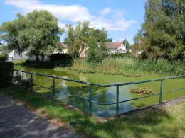 Schulteich (Schwemsal)