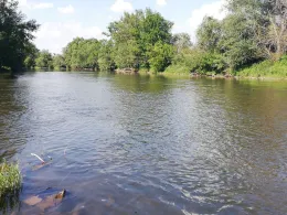 Saale (Großkorbetha)-3