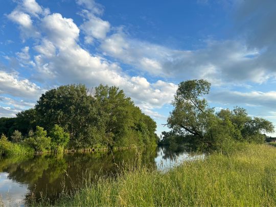 Saale (Großkorbetha)-2