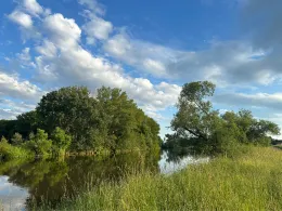 Saale (Großkorbetha)-2