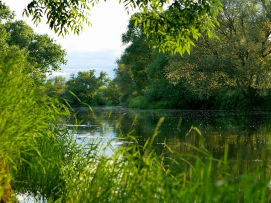 Saale (Großkorbetha)-4