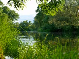 Saale (Großkorbetha)-4