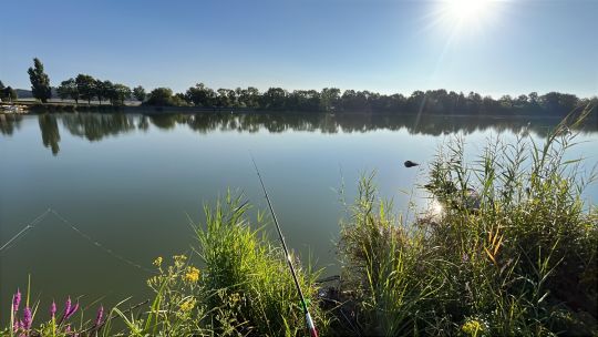 Étang de la Mutche-1