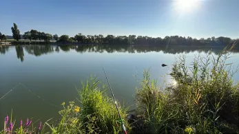 Étang de la Mutche-1