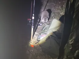 Oderstausee (Bad Lauterberg)-2