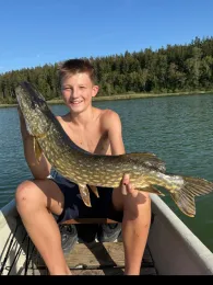 Niedersonthofener See