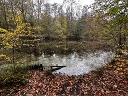 Erlenkampsee (Kiel)-2