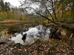 Erlenkampsee (Kiel)-3