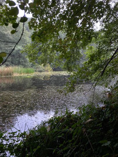 Erlenkampsee (Kiel)-1