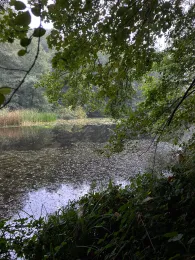 Erlenkampsee (Kiel)-1