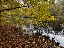 Erlenkampsee (Kiel)-4