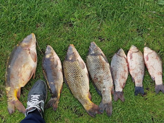 Teichwirtschaft Stradow-4