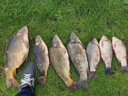 Teichwirtschaft Stradow-4