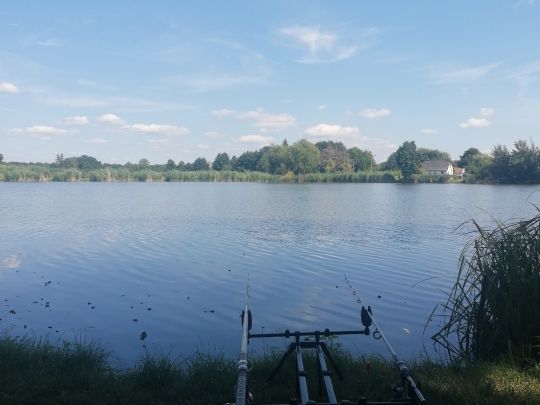 Teichwirtschaft Stradow-3