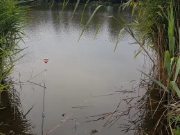 Teichwirtschaft Stradow-2