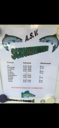 Kuhschwanzweiher (Waldsolms)