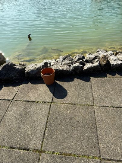 Jörgs Angelteiche-2