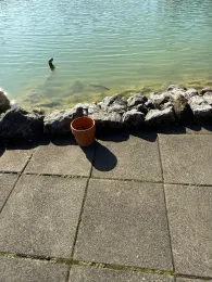 Jörgs Angelteiche-2