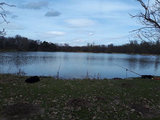 Spielmannsteich (Braunschweig)