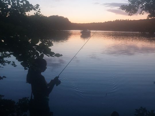 Werbellinsee (Joachimsthal) angeln