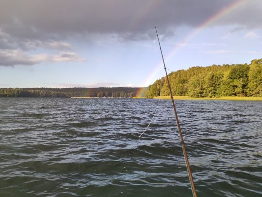 Werbellinsee (Joachimsthal) angeln