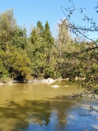 Mangfall (Bad Aibling)-2