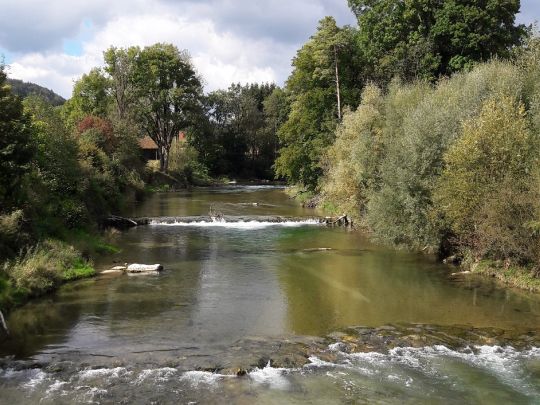 Mangfall (Bad Aibling) angeln