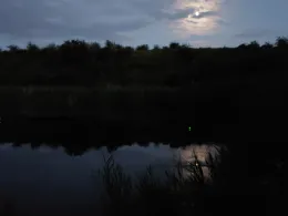 Erlengrund (Teutschenthal)-4