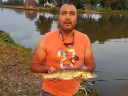 Mittellandkanal (Minden)-4