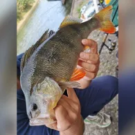 Mittellandkanal (Minden)