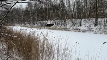 Kippengewässer (Plessa)