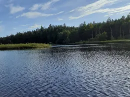 Ronnebyån (Klåvben)-1