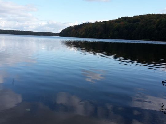 Wolletzsee-4