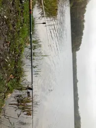 Dreiländersee (Gronau)-4