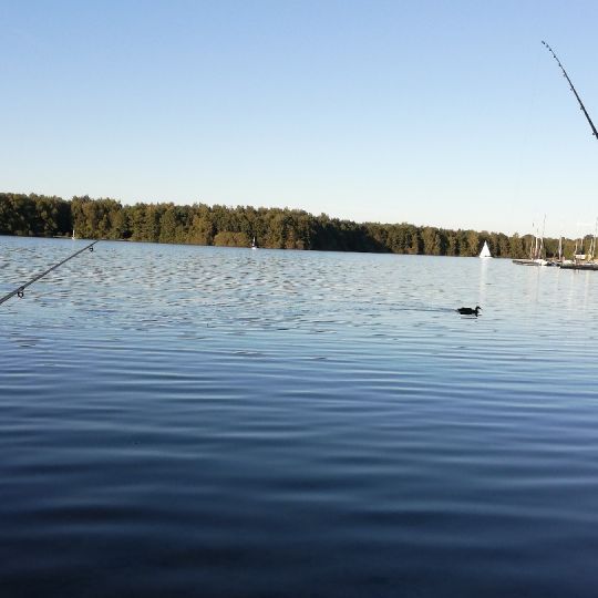 Dreiländersee (Gronau) angeln
