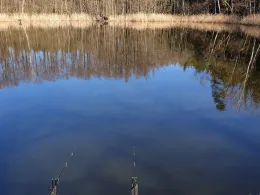 Großer Schäfereiteich (Häslich)-4