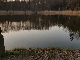 Großer Schäfereiteich (Häslich)-1