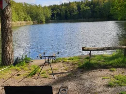 Großer Schäfereiteich (Häslich)-3