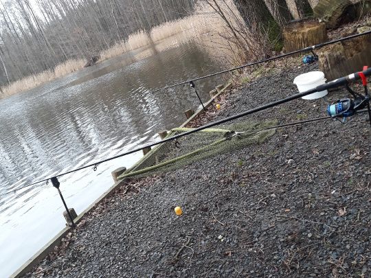 Großer Schäfereiteich (Häslich)-2