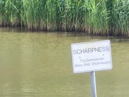 Jümme-Altarm Scharpneß