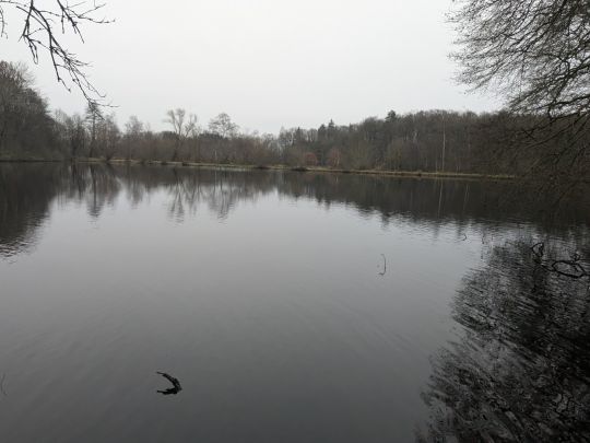 Bünzer Teich-3