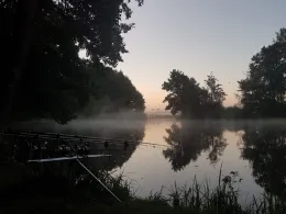 Tonstich Zehlendorf-1