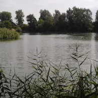 Ton- und Kiesgruben B (Papendorf)-1