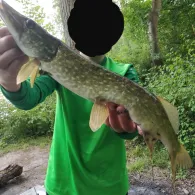 Ton- und Kiesgruben B (Papendorf)