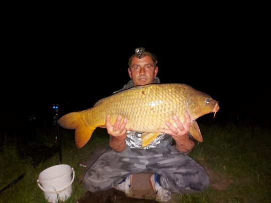 Saale (Bernburg/Saale)-1