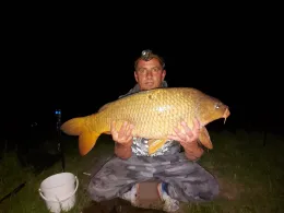 Saale (Bernburg/Saale)-1