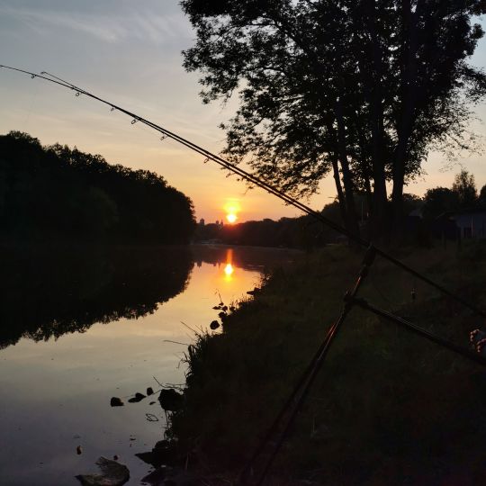 Saale (Bernburg/Saale) angeln