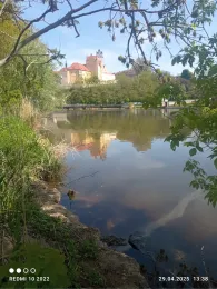 Saale (Bernburg/Saale)-3