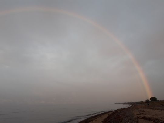 Ostsee (Hohenfelde)-1
